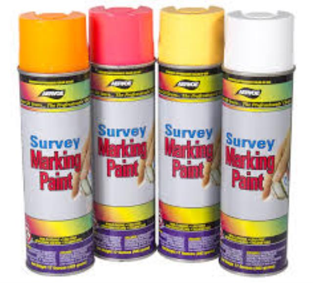 Rental store for PAINT- ORANGE SURVEY in Evansville IN