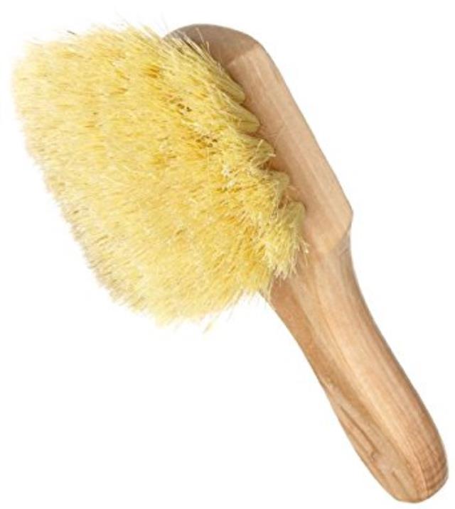 Rental store for BRUSH SHORT HANDLE TAMPICO in Evansville IN